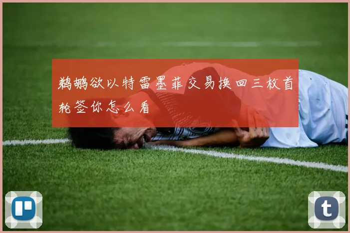 鹈鹕欲以特雷墨菲交易换回三枚首轮签你怎么看